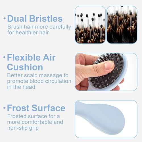 Mini Boar Bristles Hair Bursh, Travel Size Hair Brush for Women Men Kids, Protable Small Hair Brushes for Pockets Purses, Mini Hair Brush for Smooth Add Shine (1 Pack-Blue)
