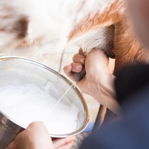 Tallow & Goat Milk Body moisturizing Lotion for Sensitive Skin, handmade tallow cream (12 Fl OZ, Oatmeal Milk & Honey)