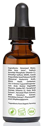 Vitamin C Serum for Face 20% with Hyaluronic Acid & Vitamin E, 1 fl. oz.