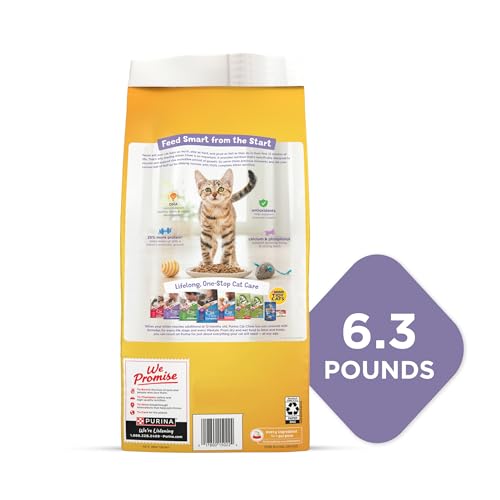 Purina Kitten Chow Dry Kitten Food, Nurture Muscle + Brain Development - (4) 6.3 lb. Bags