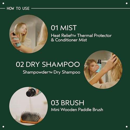 Aveda Heat Relief Thermal Protectant & Shine Mist for Dry Hair 3.4 Fl Oz