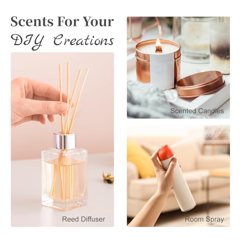 MAYJAM Amber Fragrance Oil 100ML/3.38oz for Diffusers – Amber Scent