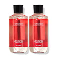Bath & Body Works and Body Works For Men Canyon 3-in-1 Hair, Face & Body Wash - Value Pack lot of 2 - Full Size (Canyon) 10 Fl Oz (Pack of 2) 20.0 fluid_ounces