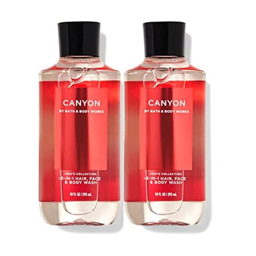 Bath & Body Works and Body Works For Men Canyon 3-in-1 Hair, Face & Body Wash - Value Pack lot of 2 - Full Size (Canyon) 10 Fl Oz (Pack of 2) 20.0 fluid_ounces