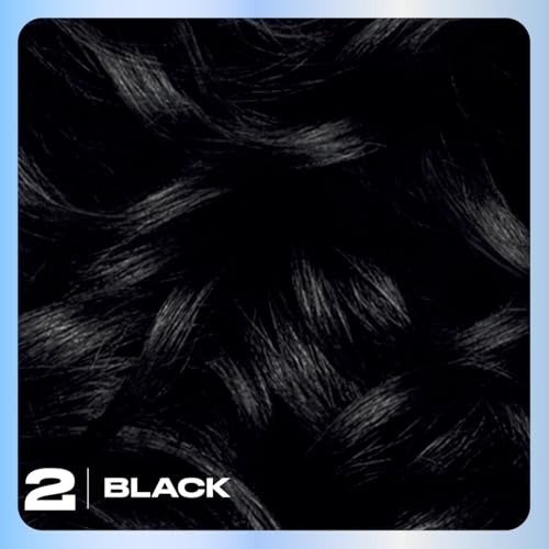 Clairol Nice'n Easy 2 Black Permanent Hair Dye – 6.26 fl oz
