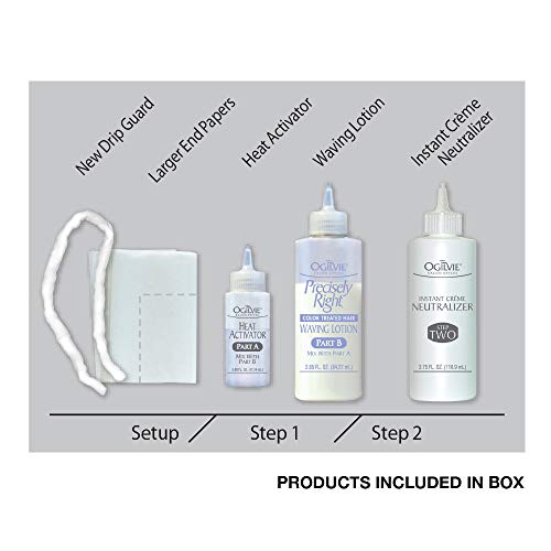 Ogilvie Salon Styles Professional Conditioning Perm Kit for Thin Hair (2-Pack)