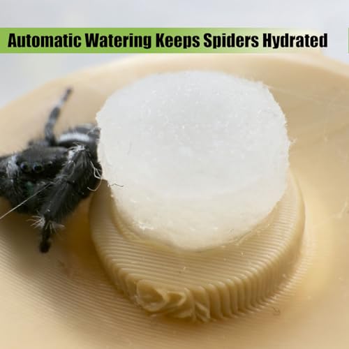 Magnetic Jumping Spider Water Dispenser - 10ML Hydration Feeder