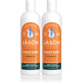 Joico Power Whip Whipped Foam | For Most Hair Types | Add Volume & Body | Thermal Heat, Humidity, & Pollution Protection | Boost Shine | Control Frizz & Flyaways | Silicone & Paraben Free