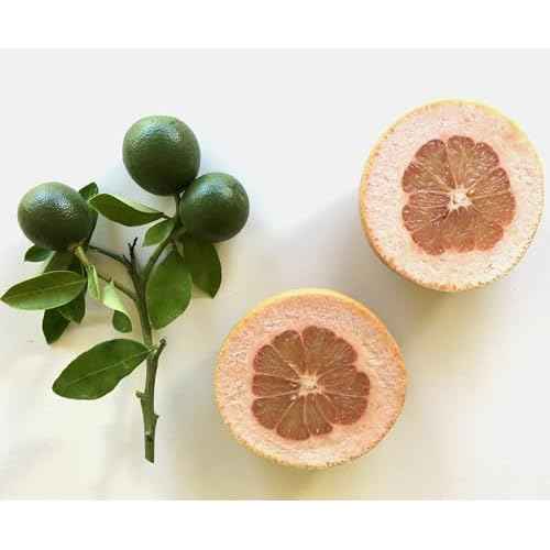 Murchison-Hume Superlative Hand Soap Refill ( Australian White Grapefruit), 32 ounces