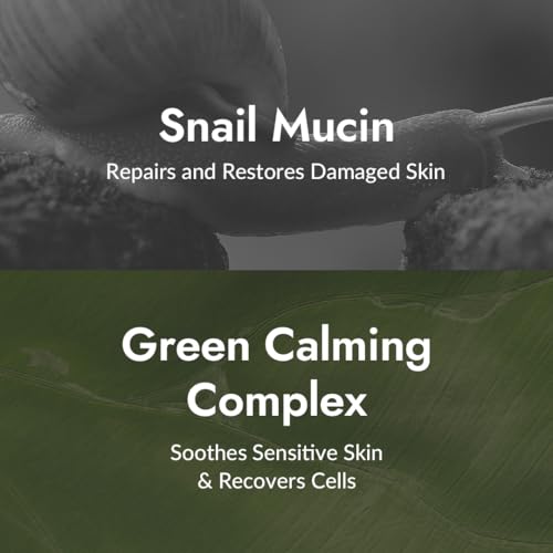 MIZON All-in-One Snail Repair Cream ? Korean Face Moisturizer with Snail Mucin 12 Natural Extracts Hydrating & Nourishing Cream for Fine Lines Wrinkles & Blemish Care ? Big Size(4.06 fl oz)