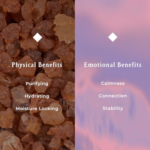 INNA Organic Sheet Mask Set, Anti-Aging & Hydrating, EWG & COSMOS Certified (Pack of 5) | First Pick Discovery Set | Luxury Clean Beauty