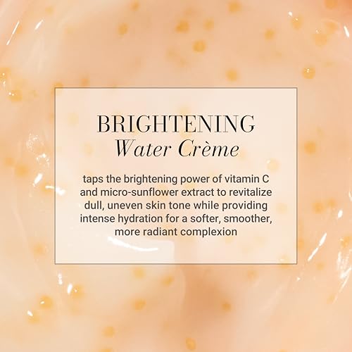 Meaningful Beauty Vitamin C Overnight Brightening Water Creme with Activated Hydraspheres