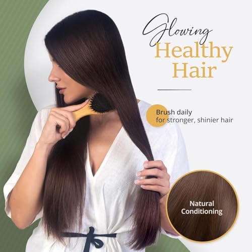 Belula Boar Bristle Hair Brush - Detangler for All Hair Types
