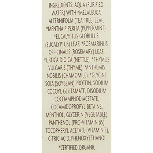 Trader Joe's 2 Packs Tea Tree Tingle Body Wash with Peppermint and Eucalyptus - Cruelty-free