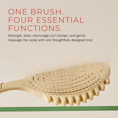 Bounce Curl Detangle & Define EdgeLift Brush for All Hair Types