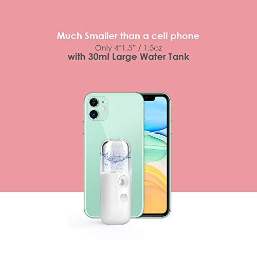 GIVERARE Nano Facial Steamer, USB Rechargeable Mist Sprayer 30ml