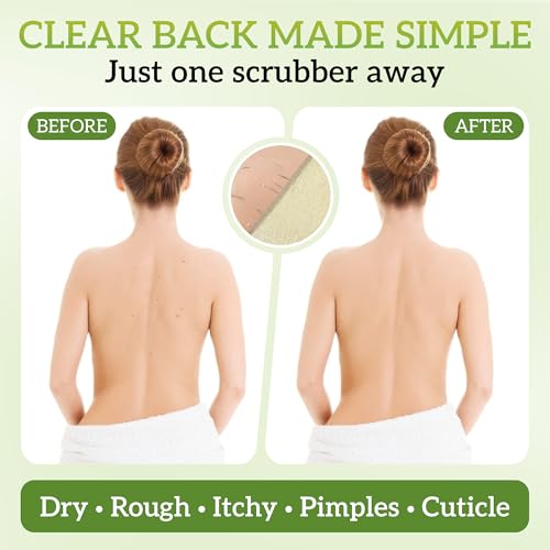 Natural Loofah Exfoliating Body Scrubber, Loofah Bath Sponge, Luffa for Women and Men, 100% Biodegradable Compostable, Dye Free, Zero Waste Eco Friendly Sustainable (Back Scrubber Pack 4)