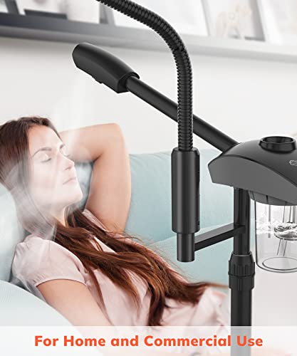 Professional Ionic Facial Steamer with 3X Magnifying Lamp