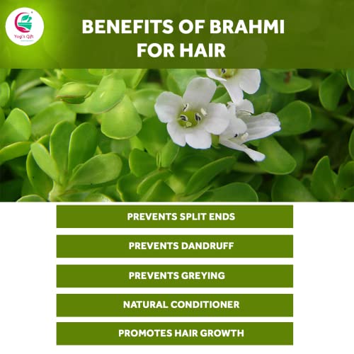 Brahmi Powder 8oz - Natural Hair Growth & Scalp Nourishing Mask