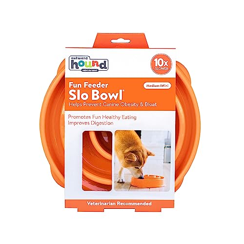 Outward Hound Fun Feeder Slow Bowl in Orange Plastic for Dogs