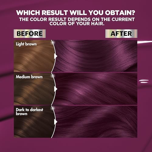 Garnier Nutrisse Ultra Color Hair Dye V2 Dark Intense Violet (Spiced Plum) 2-Pack
