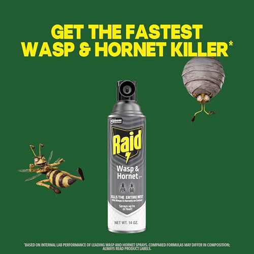 Raid Wasp & Hornet Killer Spray, 14 oz, 2-Pack