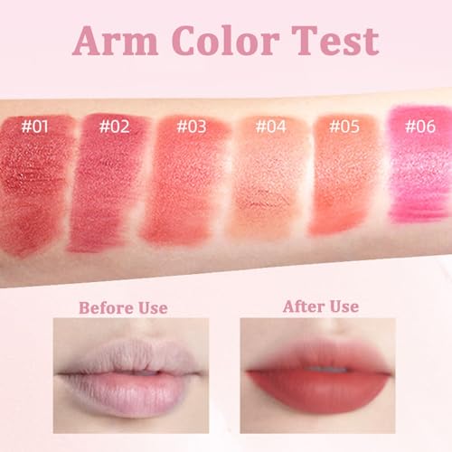 6-Piece Red Matte Lipstick Set with Sponge Brush Tips