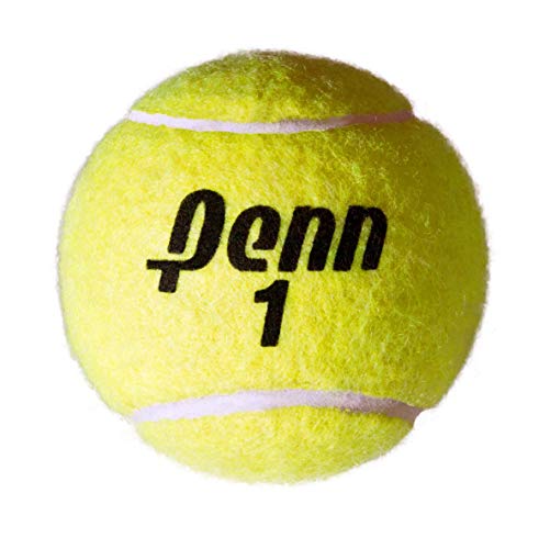 Penn Championship - Extra Duty Felt Pressurized Tennis Balls - 15 Cans, 45 Balls