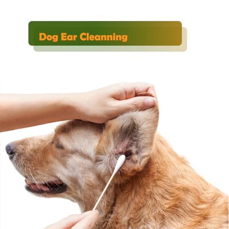 6 Inch Cotton Swabs for Pet Care & Cleaning, 200 Pack