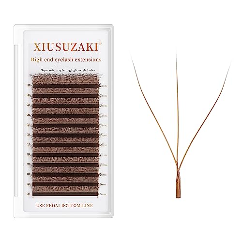 Brown 3D W Lash Extensions 0.07mm C/D Curl Premade Fans