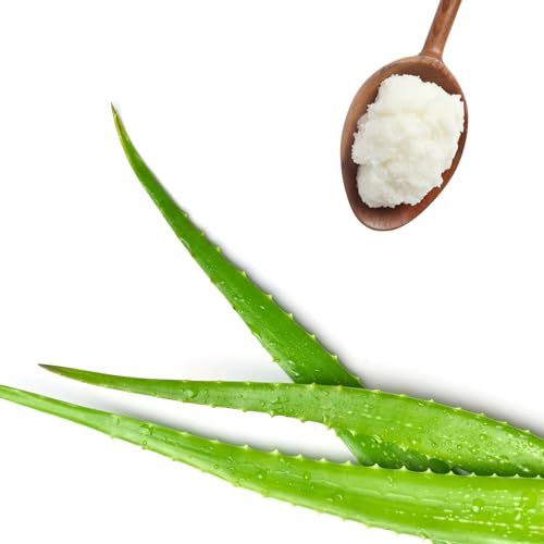 Bevel Shaving Cream for Men, Moisturizing Shave with Aloe Vera