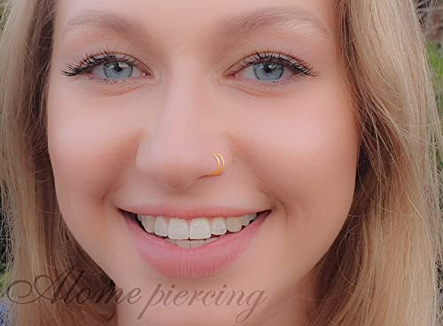 Tiny Gold Double Fake Hoop Nose Ring - Spiral Fake Nose Ring 20 Gauge Snug False Double Nose Piercing FauxThin Nose Piercings Hoops (Gold)