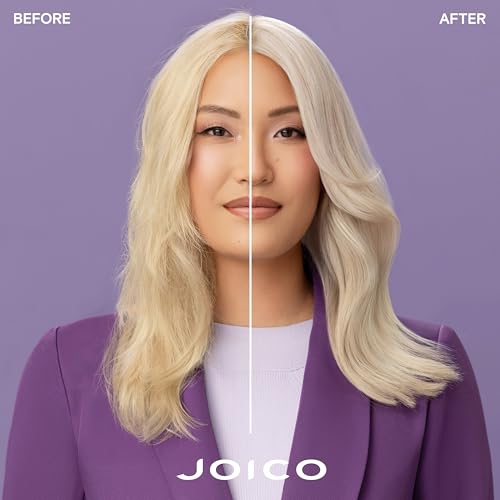 Joico Dream Blowout Thermal Protection Cr?me | For Most Hair Types | Thermal Heat Protection | Control Frizz & Static | Faster Drying Time | Humidity Protection | Reduce Breakage