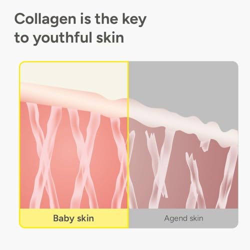 SUNGBOON EDITOR Fine Line Care Duo: Cream in Serum & Collagen Capsule Cream, Deep Fine Line Care, Glow Mist, Elasticity for Aged Skin, Face Moisturizer, Gifts for Mom, Korean Skin Care