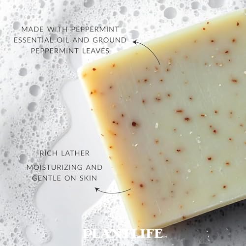Plantlife Peppermint Bar Soap Pack of 2 - Moisturizing and Soothing Soap for Your Skin - Hand Crafted Using Plant-Based Ingredients - Made in California 4oz Bar