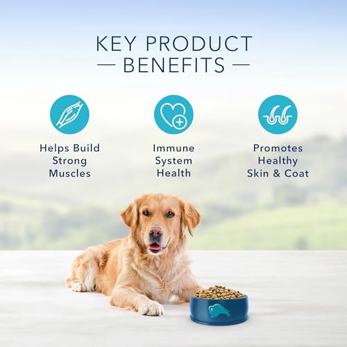 Blue Buffalo Life Protection Formula Adult Dry Dog Food, Helps Build and Maintain Strong Muscles, Made with Natural Ingredients, Chicken & Brown Rice Recipe, 5-lb. Bag