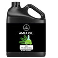 Naturevibe Botanicals Amla Oil 32 Ounces | 100% Pure and Natural | Great for Skin Care and Hair Care