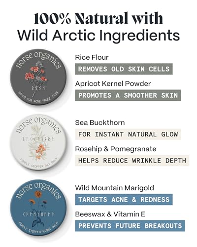 Norse Organics Fight Acne Kit - Complete 3-Step System with Arctic Botanicals