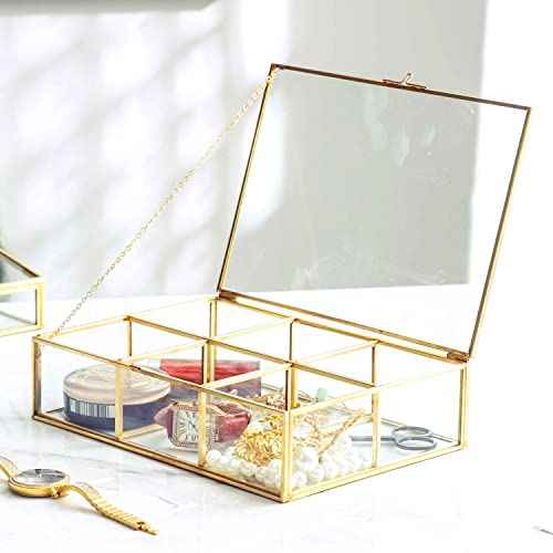 Golden Vintage Glass Box Clear Glass & Brass Metal Storage Jewelry and Cosmetic Makeup Lipstick Holder Organizer Beauty Display, 6 Compartment