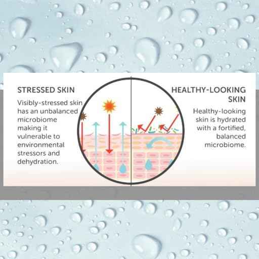 Consult Beaute MICROBIOME Pre & Probiotic Cultured Facial Moisture Cream - Nourish & Balance Skin - Lactobacillius - 1.7 oz