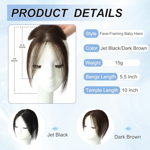 WORLDSTAR Human Hair Bangs Hair Topper Clip-In for Women Dark Brown 10 Inch