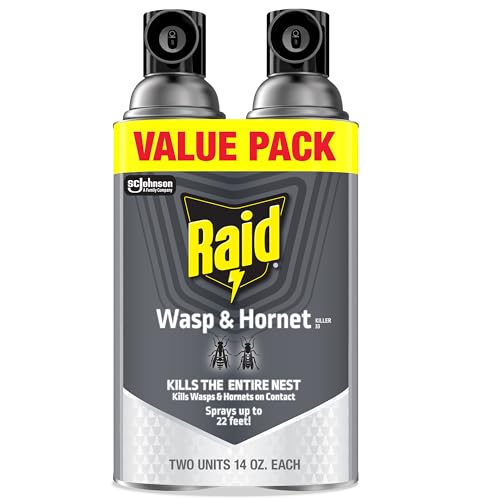 Raid Wasp & Hornet Killer Spray, 14 oz, 2-Pack