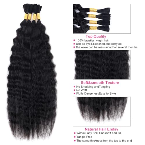 RLHAIR Wet and Wavy Human Braiding Hair 100g (4pc Bundle)