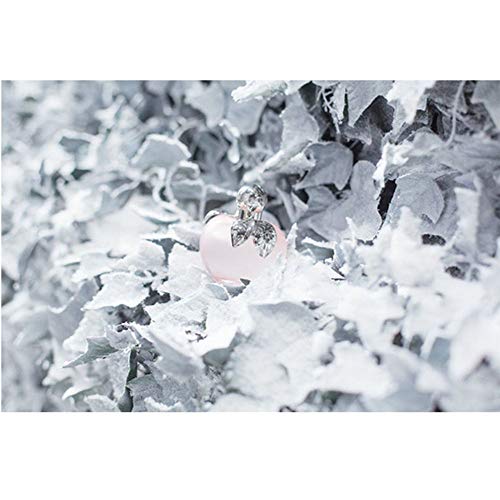 Nina L'Eau by Nina Ricci Eau Fraiche Spray for Women, 2.7 oz