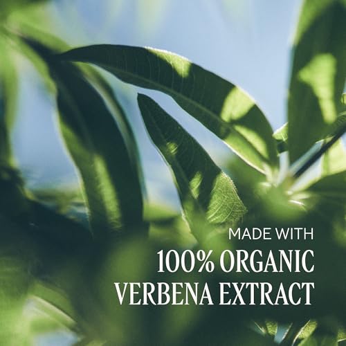 L'Occitane Verbena Hand & Body Lotion 8.4 Fl Oz - Moisturizing with Citrus Scent