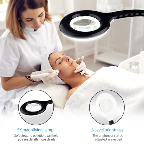 Professional Facial Steamer with 5X Magnifying Lamp