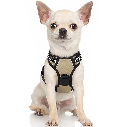 rabbitgoo Dog Harness, No-Pull Pet Harness with 2 Leash Clips, Adjustable Soft Padded Dog Vest, Reflective No-Choke Pet Oxford Vest with Easy Control Handle for Small Dogs, Wild Lime,S