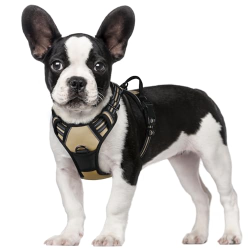 rabbitgoo Dog Harness, No-Pull Pet Harness with 2 Leash Clips, Adjustable Soft Padded Dog Vest, Reflective No-Choke Pet Oxford Vest with Easy Control Handle for Small Dogs, Beige, S