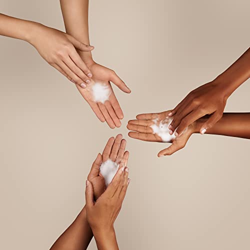 Softsoap Antibacterial Liquid Hand Soap, Kitchen Fresh Hand Soap, 11.25 Fl Oz (Pack of 6)
