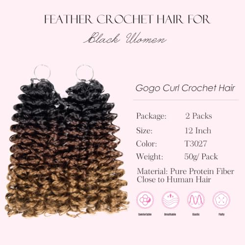 Celie Miracle Knots Crochet Hair Feather Style 12 Inch T30/27 for Black Women